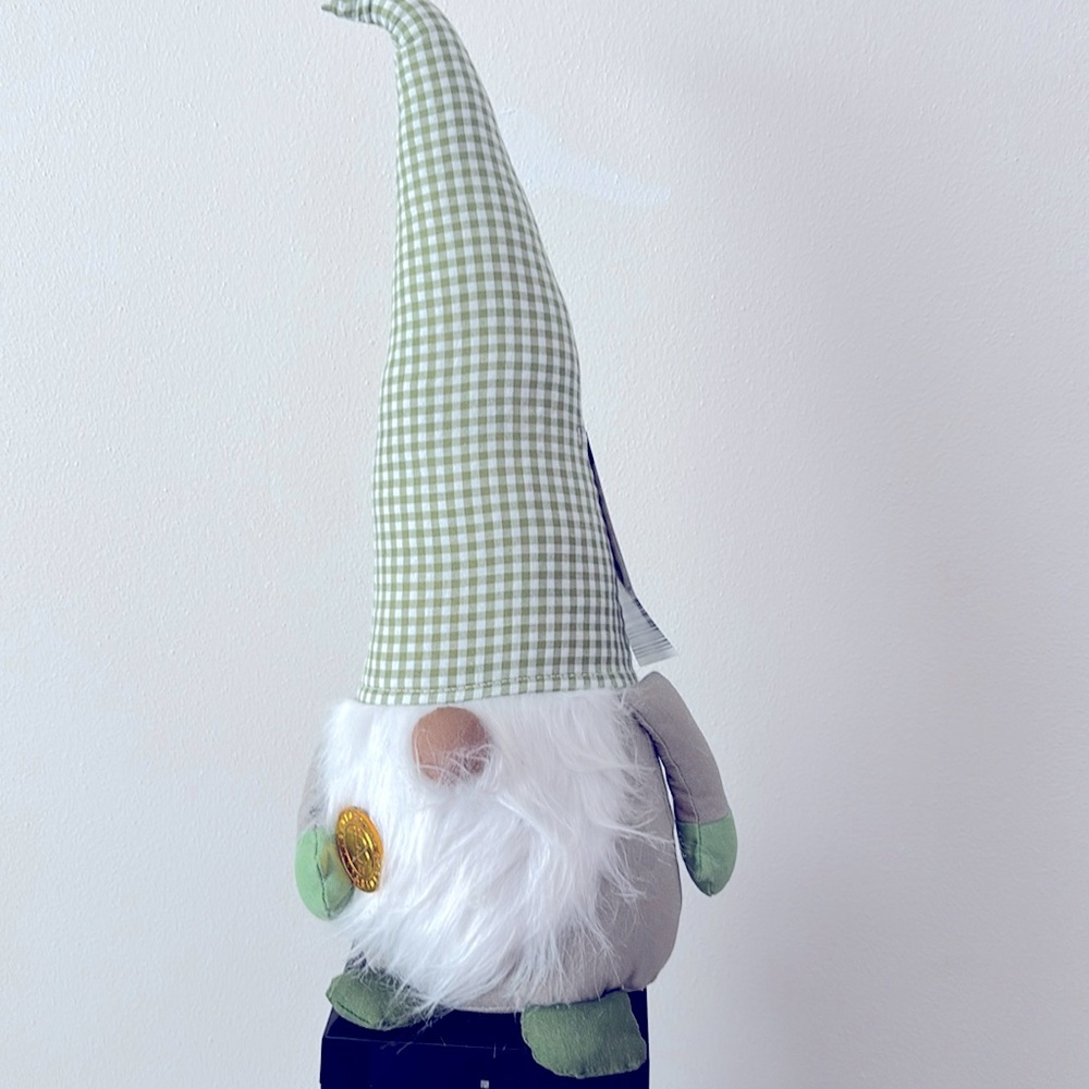 Sr Patrick’s day gnome
